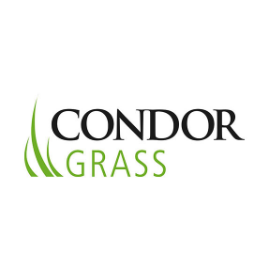 Condor Grass
